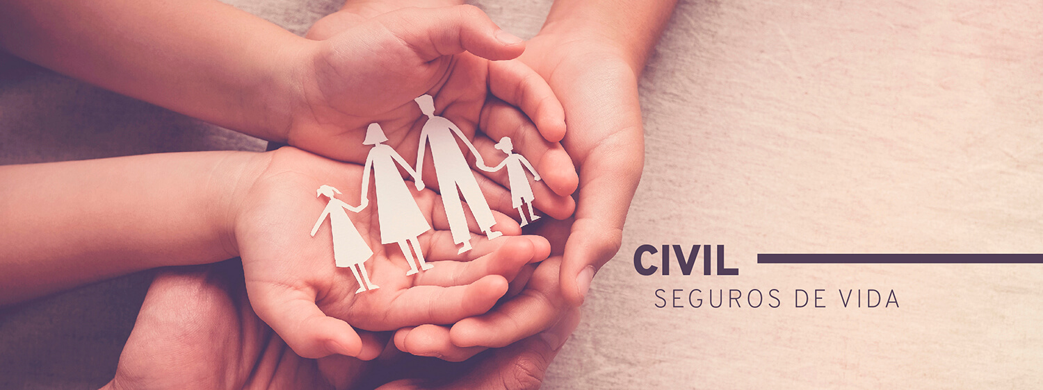 Seguros de Vida