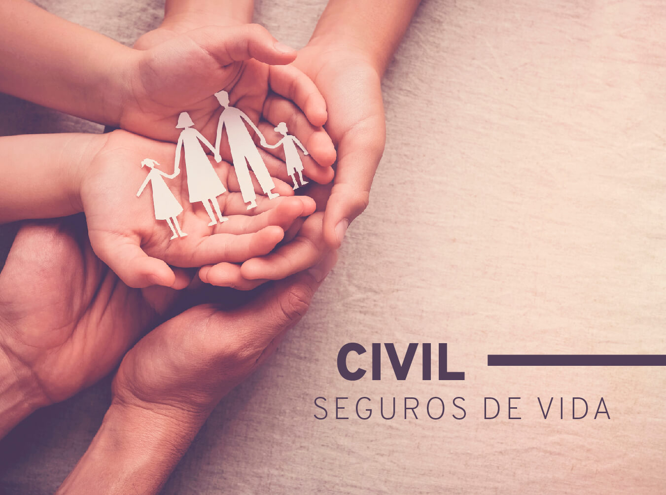 Seguros de Vida